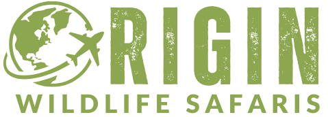 Origin Wildlife Safaris