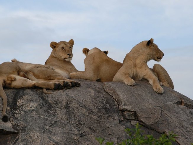 Tanzania Camping, Group & Budget Safaris