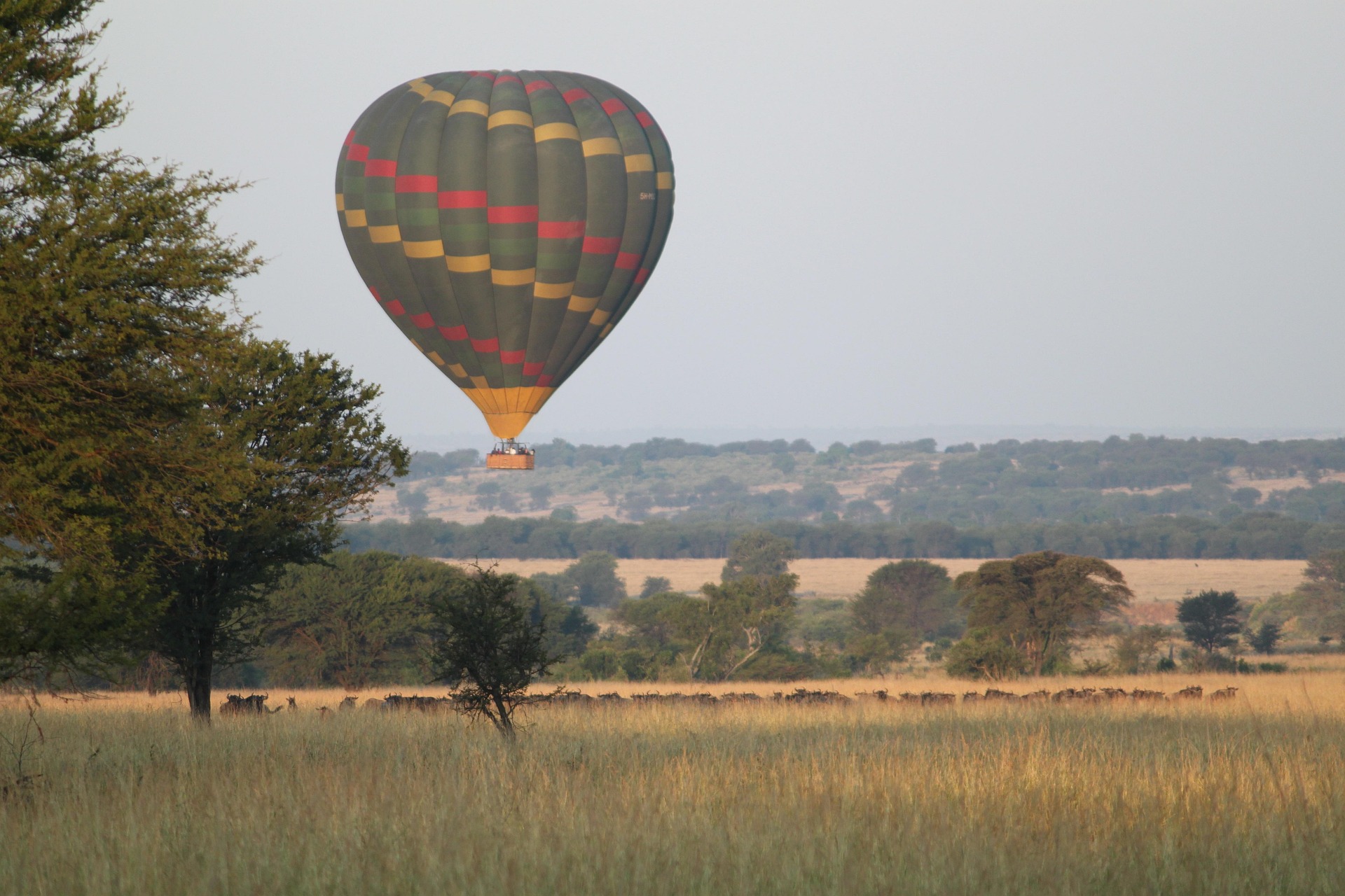 Tanzania Luxury Safaris Packages