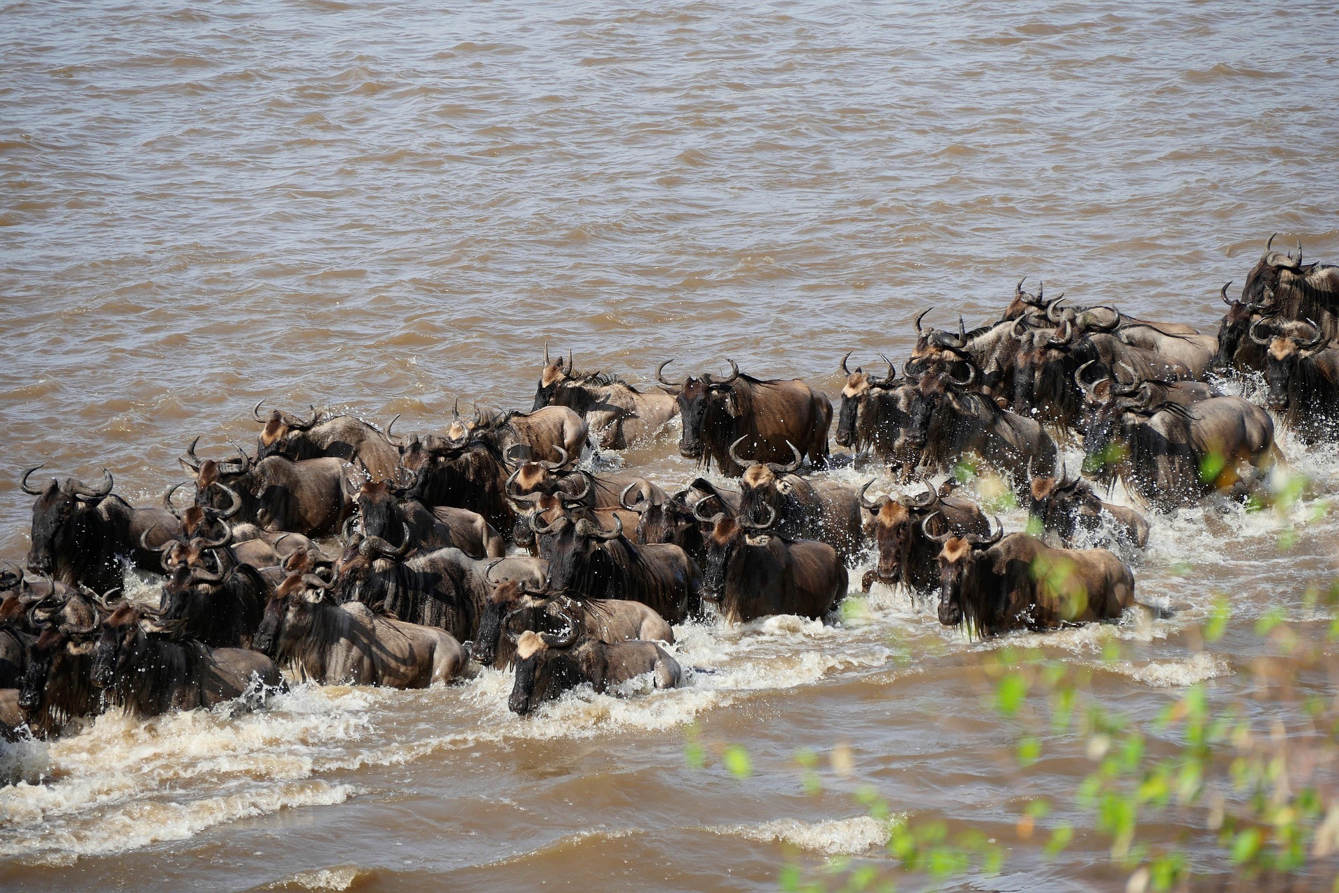 Tanzania Camping, Group & Budget Safaris