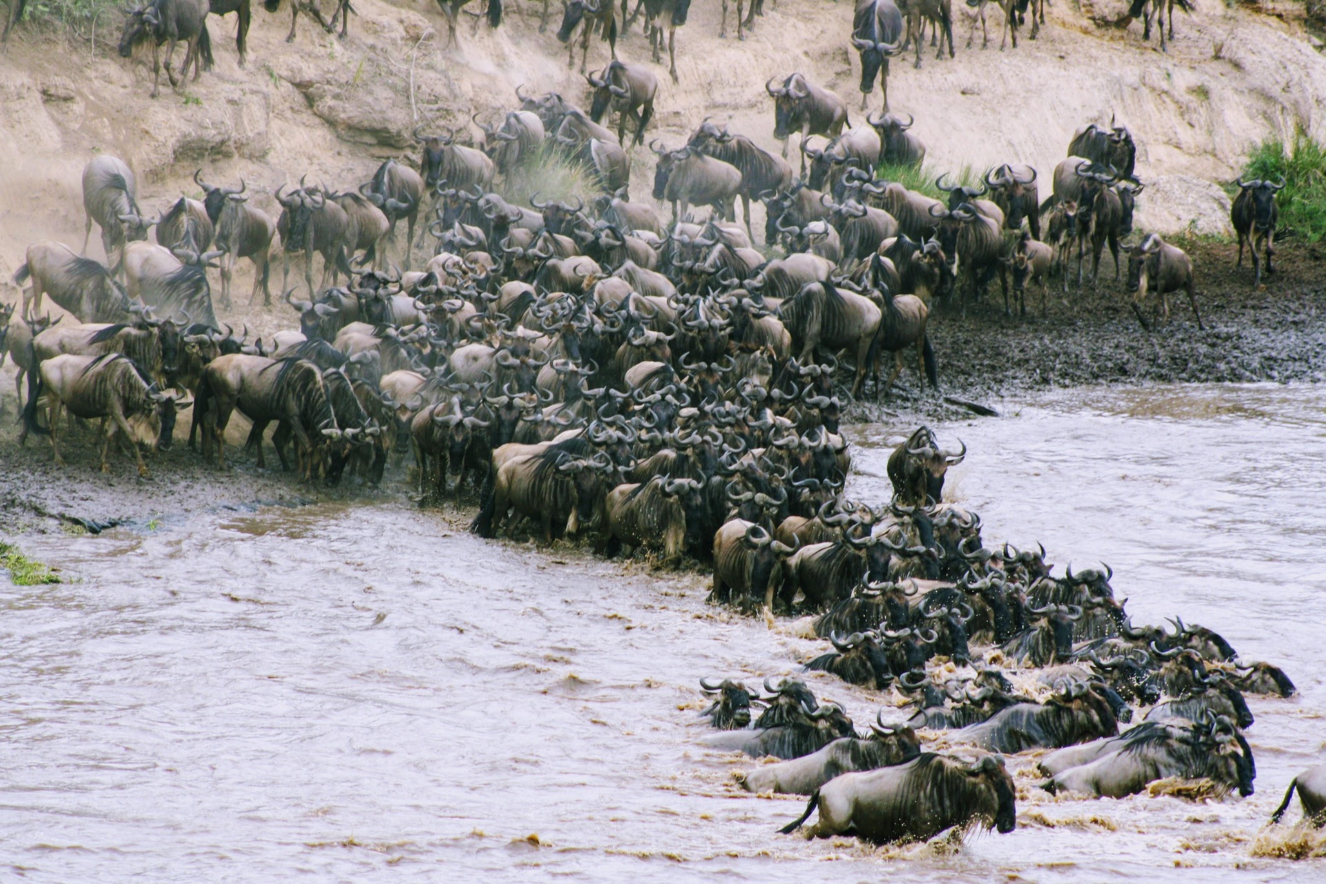 Tanzania Luxury Safaris Packages