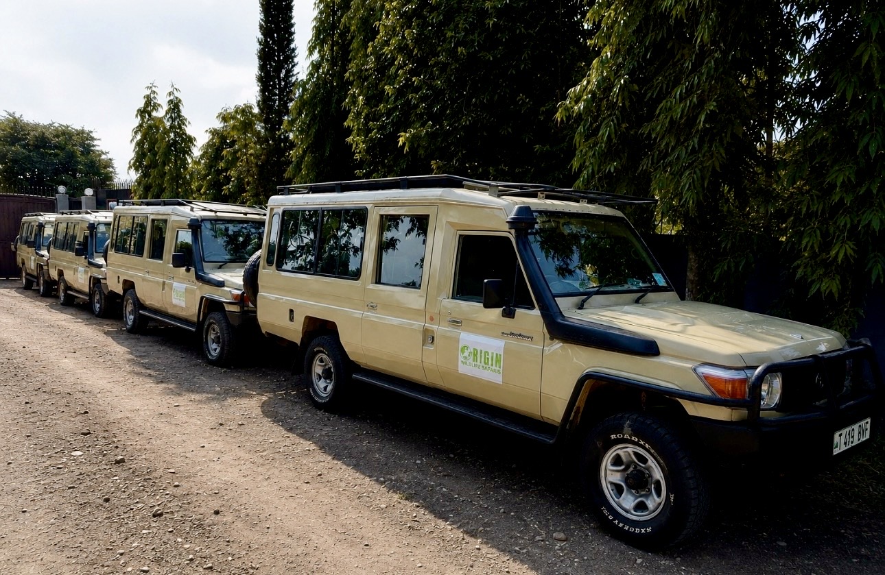 a convoy of origin wildlife safari 4x4 private safari fleet